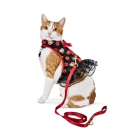 Picture for category Cat Collar