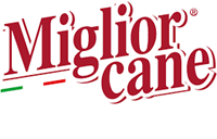 Picture for category Miglior Cane