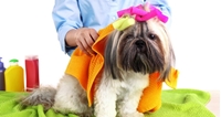 Picture for category Grooming Products