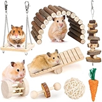 Picture for category Rodent Toys