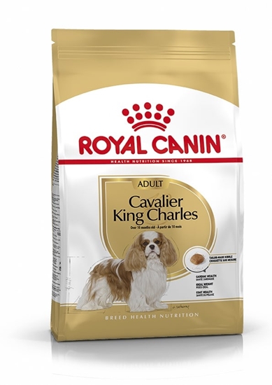 Pet House Online Pet shop with over 5,000 Exclusive Pet Products in  MaltaROYAL CANIN CAVALIER KING CHARLES
