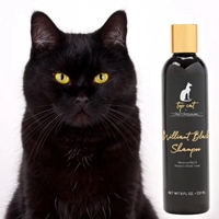 Picture for category Cat Shampoos & Conditioners