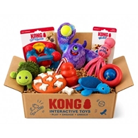 Picture for category Interactive Toys