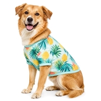 Picture for category Summer Clothes
